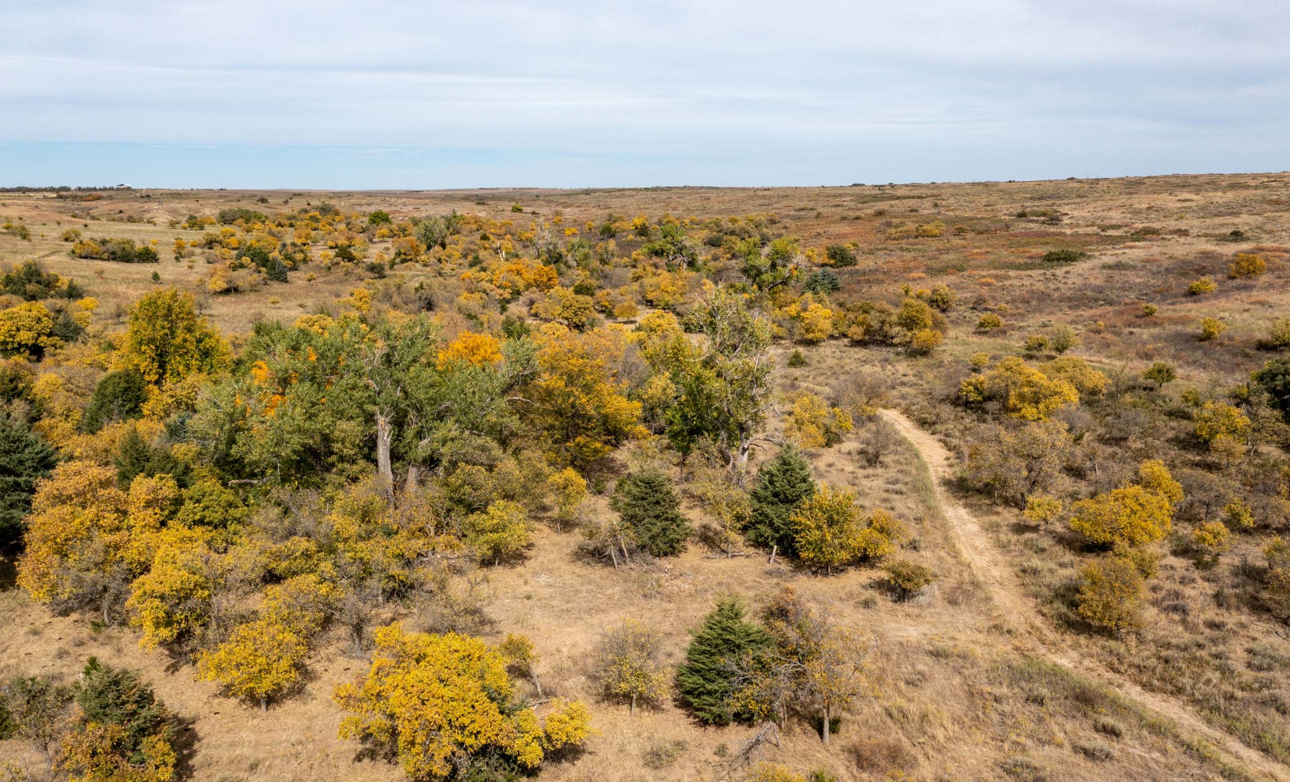 Diamond B Ranch | Chas S. Middleton